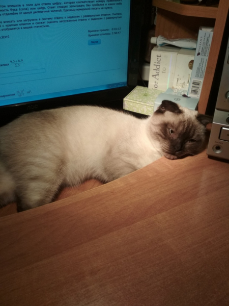 Кошки в нашей жизни. Кошки и все, что с ними связано.