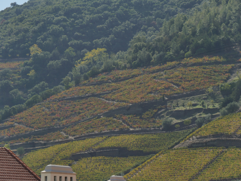 Провинциальная Португалия