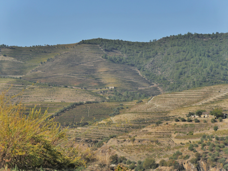 Провинциальная Португалия