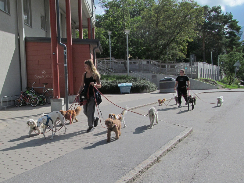 Вело Швеция (через Финляндию) август 2019г