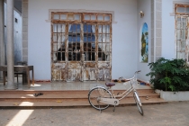 Ханой-Сапа-Халонг-Далат-Муй Не-Хо Ши Мин. Отчет. Ноябрь 2011. Много фото!