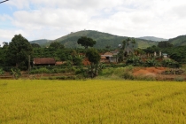 Ханой-Сапа-Халонг-Далат-Муй Не-Хо Ши Мин. Отчет. Ноябрь 2011. Много фото!