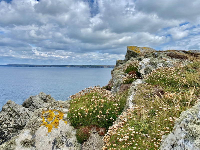 Британский гранд вояж на авто или «Отпуск — это маленькая жизнь»
