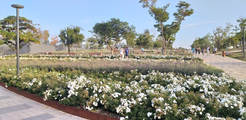 Первый раз в Крыму: Керчь – Феодосия – Коктебель – Алушта  - Ялта – Севастополь – Бахчисарай -Симферополь (и многое другое) в сентябре – октябре 2020