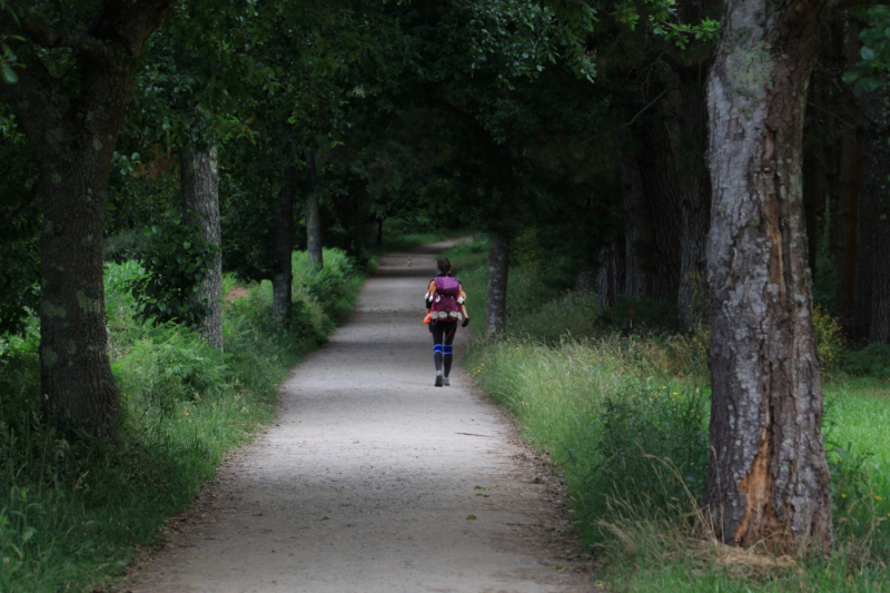 Camino de Santiago (Camino Frances), лето 2019