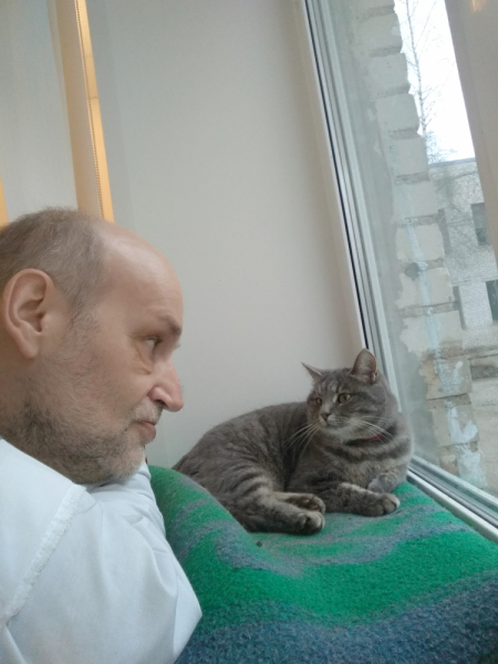 Кошки в нашей жизни. Кошки и все, что с ними связано.