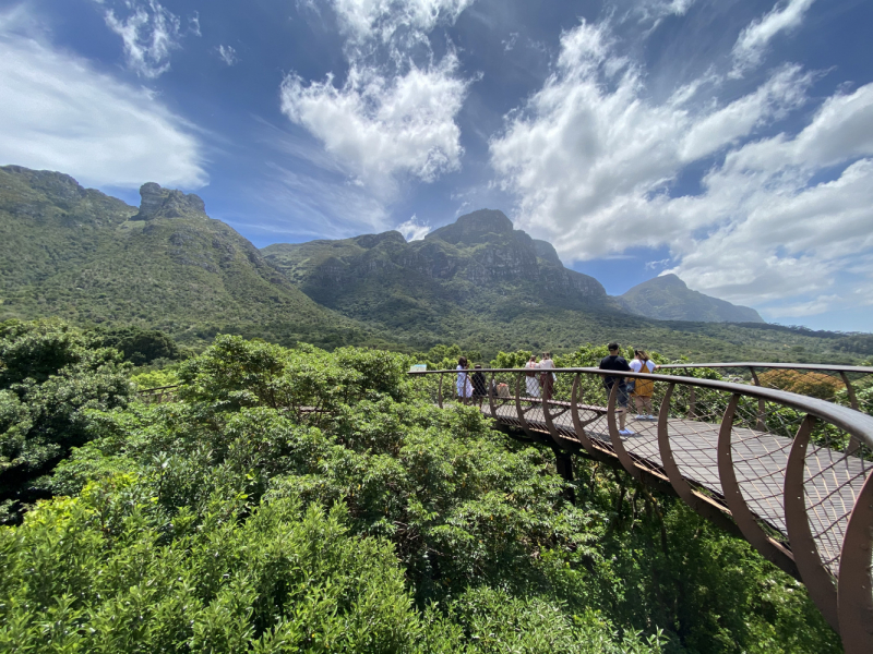 ЮАР в ноябре 2020: Blyde River Canyon, Крюгер, поход в Дракенсберге и Кейп