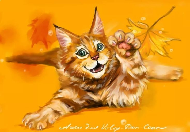 Кошки в нашей жизни. Кошки и все, что с ними связано.