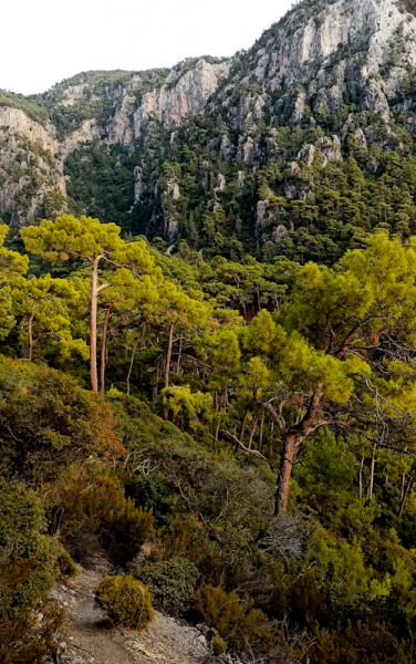 По Карийской глубинке с рюкзаком за плечами + ECOtrails + Ликийская тропа
