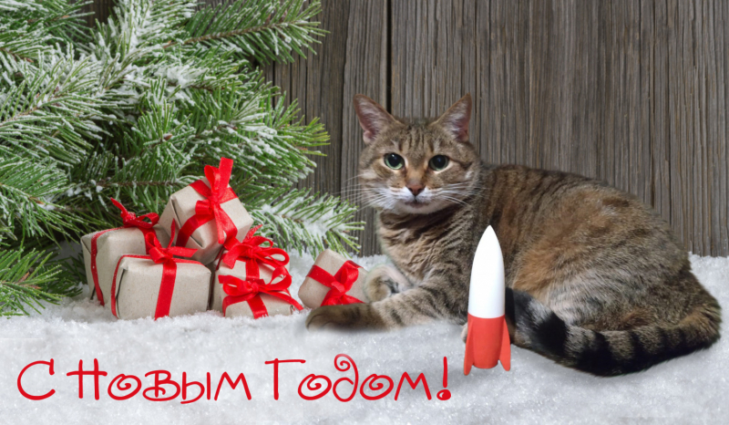 Кошки в нашей жизни. Кошки и все, что с ними связано.