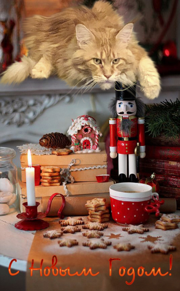 Кошки в нашей жизни. Кошки и все, что с ними связано.