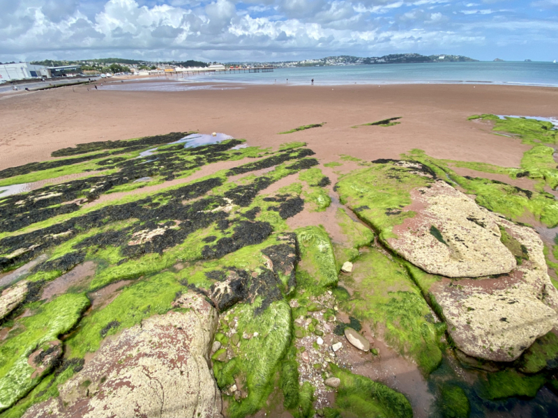 Британский гранд вояж на авто или «Отпуск — это маленькая жизнь»
