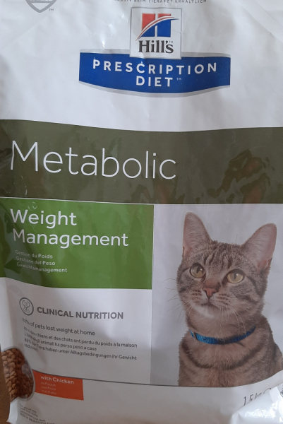 Кошки в нашей жизни. Кошки и все, что с ними связано.