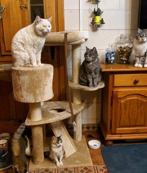 Переезд в Испанию с котиками-маскотиками или Навстречу ветру. Нулевой меридиан