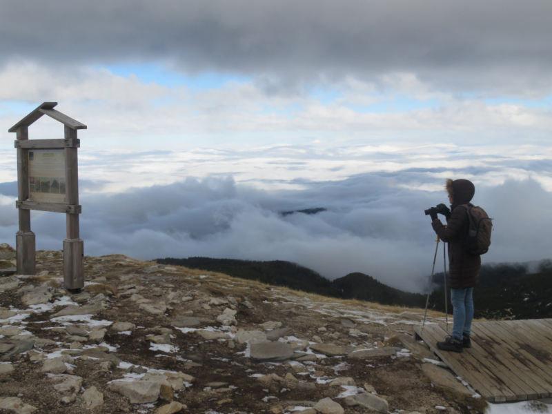 Эмиграция в Болгарию или доярка из Георгиевки