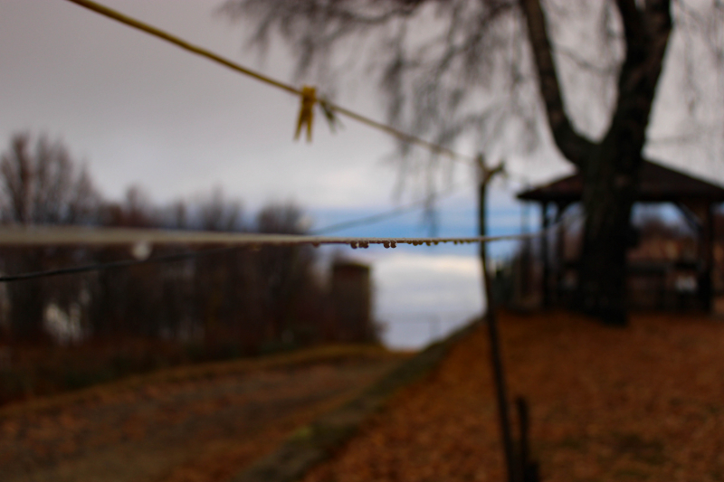 Эмиграция в Болгарию или доярка из Георгиевки