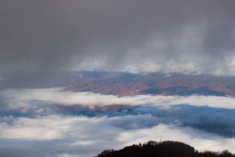 Эмиграция в Болгарию или доярка из Георгиевки