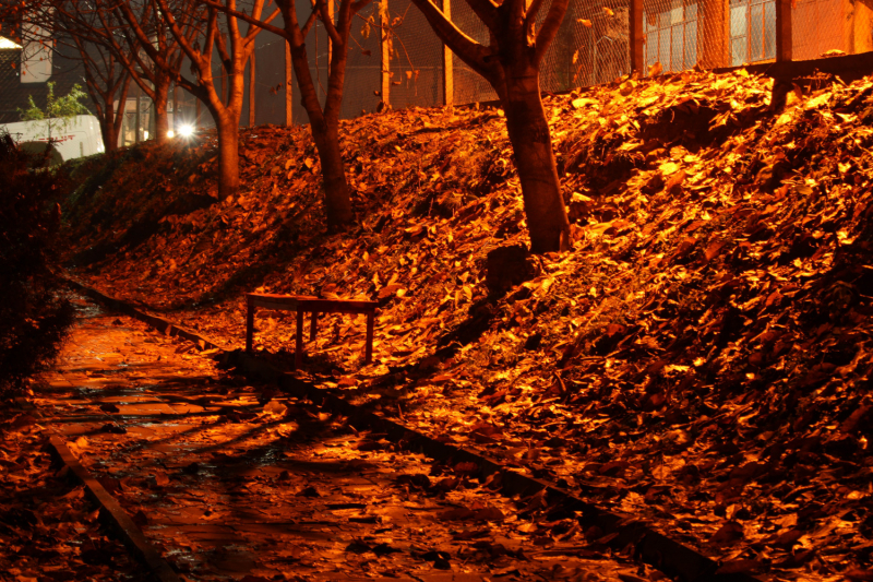 Эмиграция в Болгарию или доярка из Георгиевки