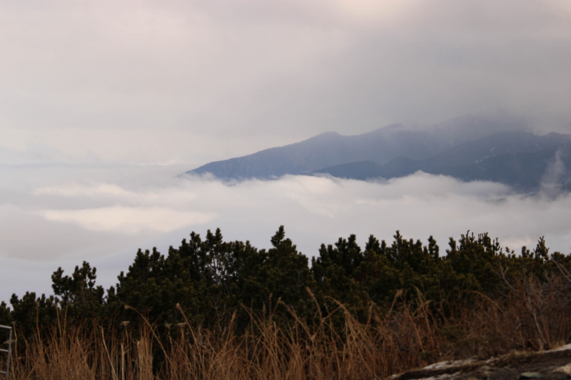 Эмиграция в Болгарию или доярка из Георгиевки