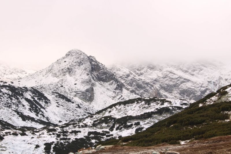 Эмиграция в Болгарию или доярка из Георгиевки
