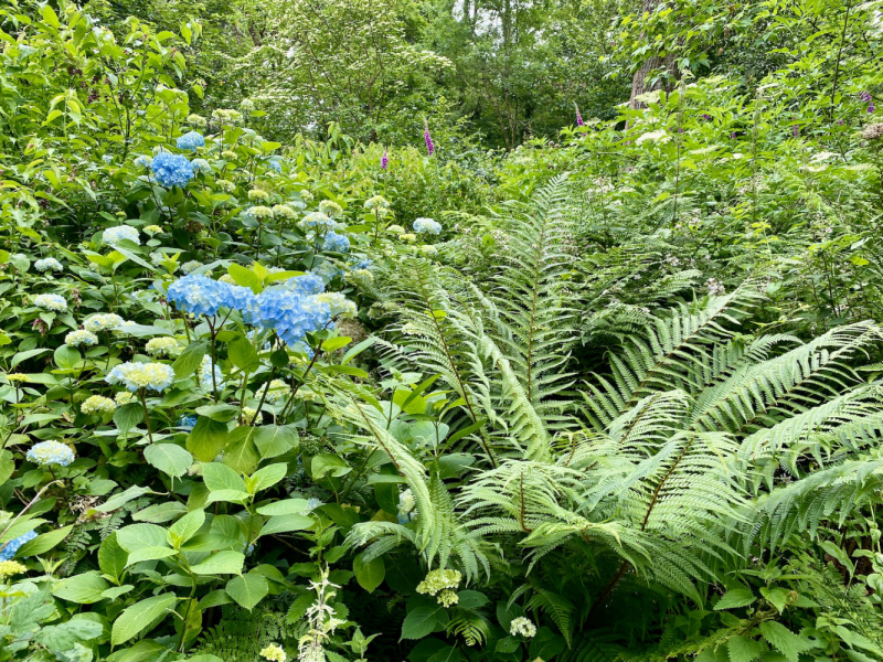 Британский гранд вояж на авто или «Отпуск — это маленькая жизнь»