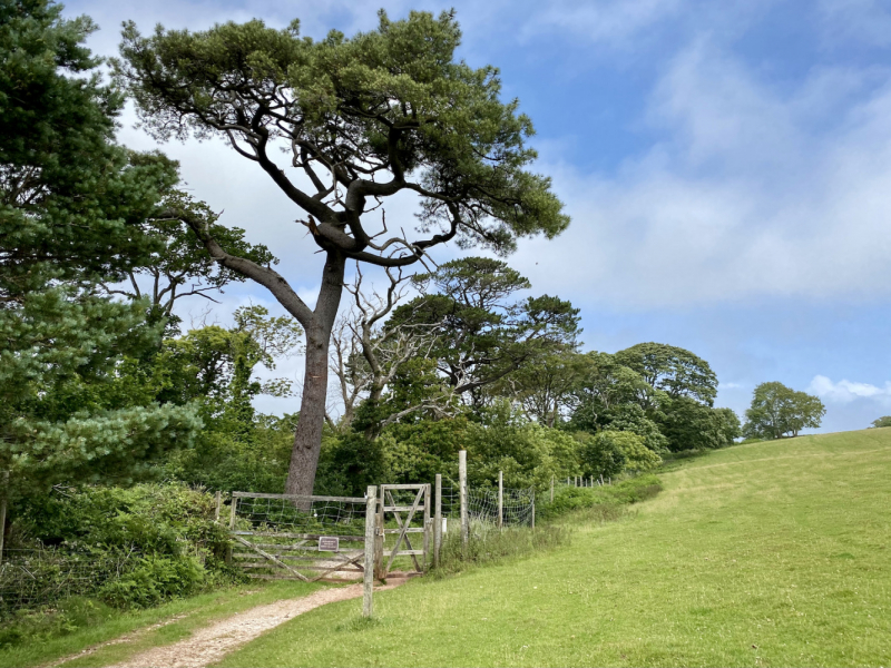 Британский гранд вояж на авто или «Отпуск — это маленькая жизнь»