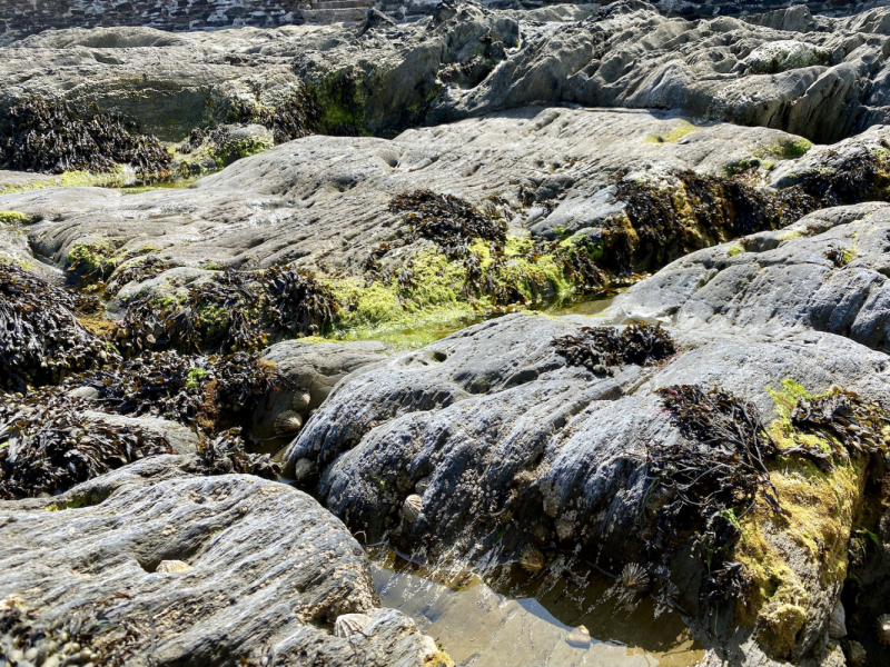 Британский гранд вояж на авто или «Отпуск — это маленькая жизнь»