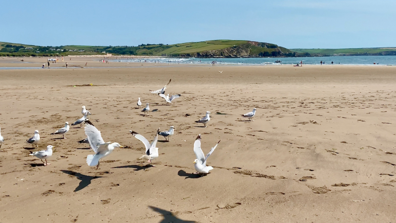 Британский гранд вояж на авто или «Отпуск — это маленькая жизнь»