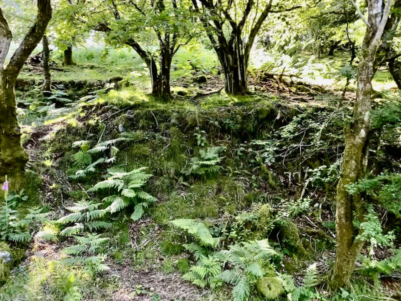 Британский гранд вояж на авто или «Отпуск — это маленькая жизнь»