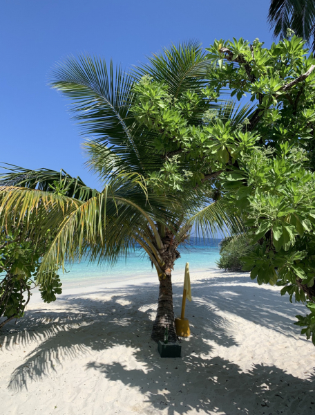 Adaaran Club Rannalhi + Biyadhoo Island Resort Декабрь 2020