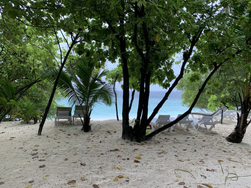 Adaaran Club Rannalhi + Biyadhoo Island Resort Декабрь 2020