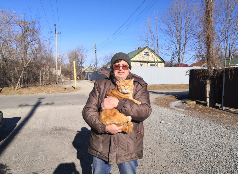 Кошки в нашей жизни. Кошки и все, что с ними связано.