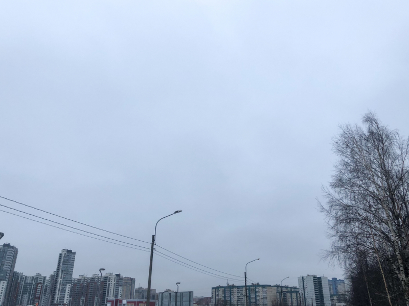 Ветер перемен или Манила заманила.