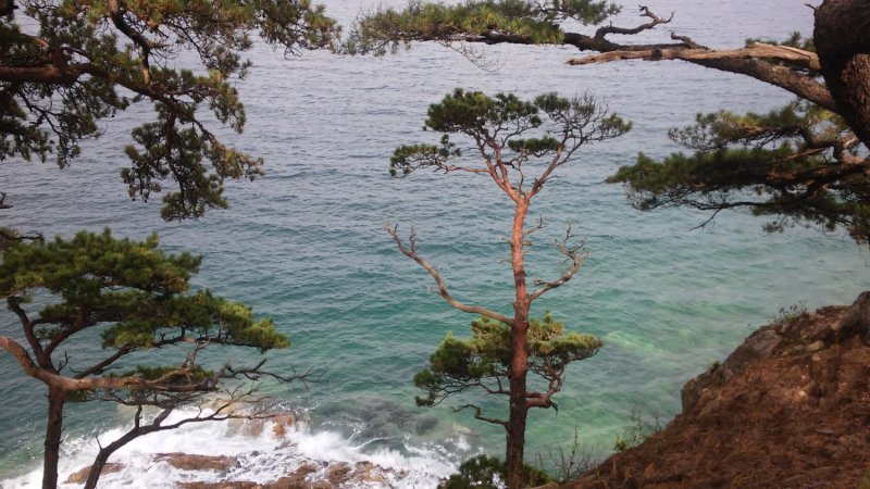 Приморский край