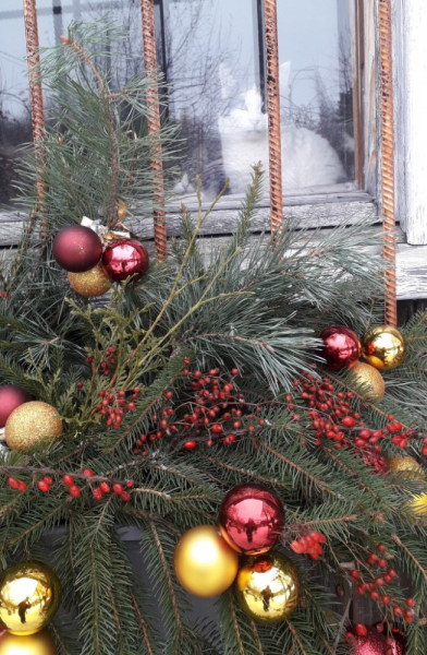 Кошки в нашей жизни. Кошки и все, что с ними связано.