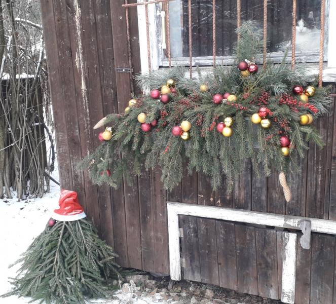Кошки в нашей жизни. Кошки и все, что с ними связано.