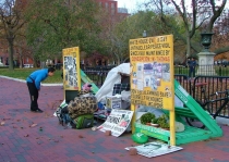 DSCF7264_новый размер.jpg