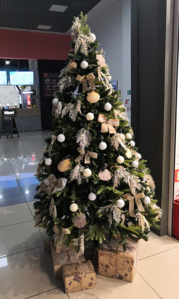 Переезд в Испанию с котиками-маскотиками или Навстречу ветру. Нулевой меридиан