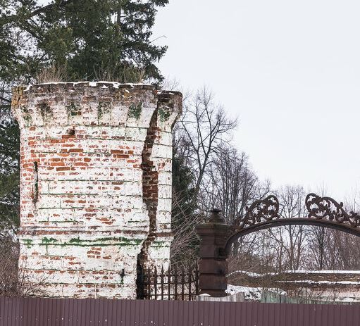 Мы едем в  Дубровицы. Хмурая осень 2020г.