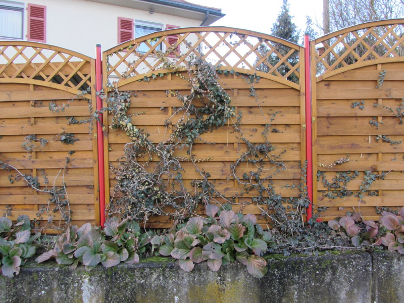 Месяц в Германии. Локдаун. Карантин. Рождество. НГ и прочие мелкие радости жизни.