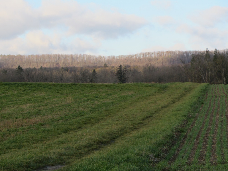 Месяц в Германии. Локдаун. Карантин. Рождество. НГ и прочие мелкие радости жизни.
