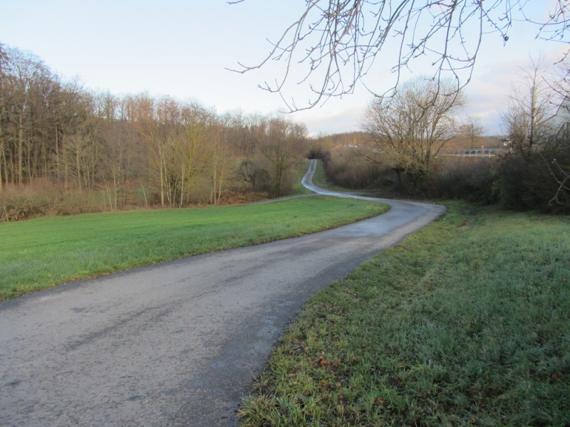 Месяц в Германии. Локдаун. Карантин. Рождество. НГ и прочие мелкие радости жизни.