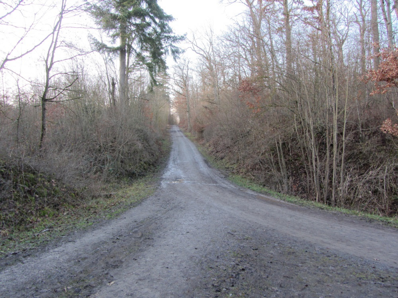 Месяц в Германии. Локдаун. Карантин. Рождество. НГ и прочие мелкие радости жизни.