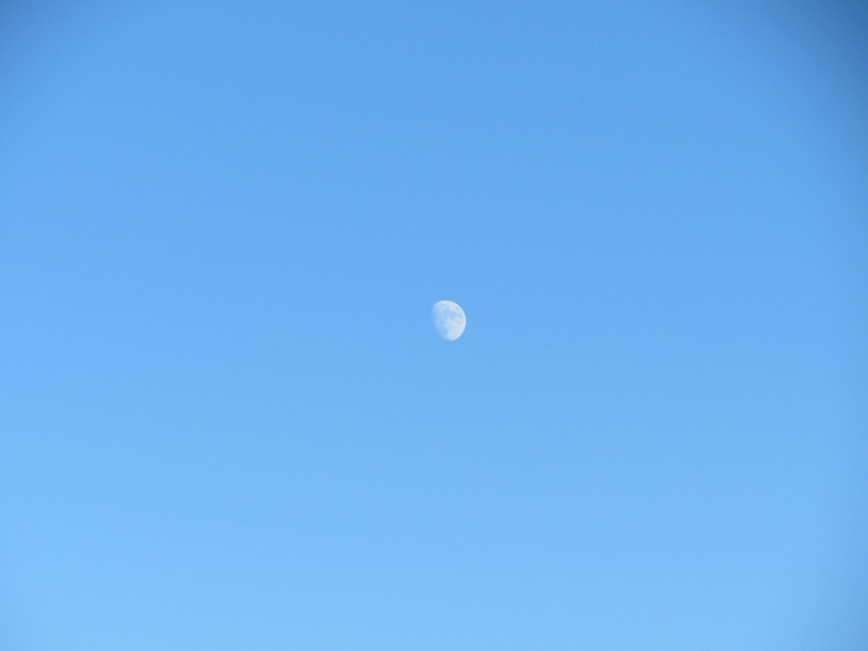 Месяц в Германии. Локдаун. Карантин. Рождество. НГ и прочие мелкие радости жизни.