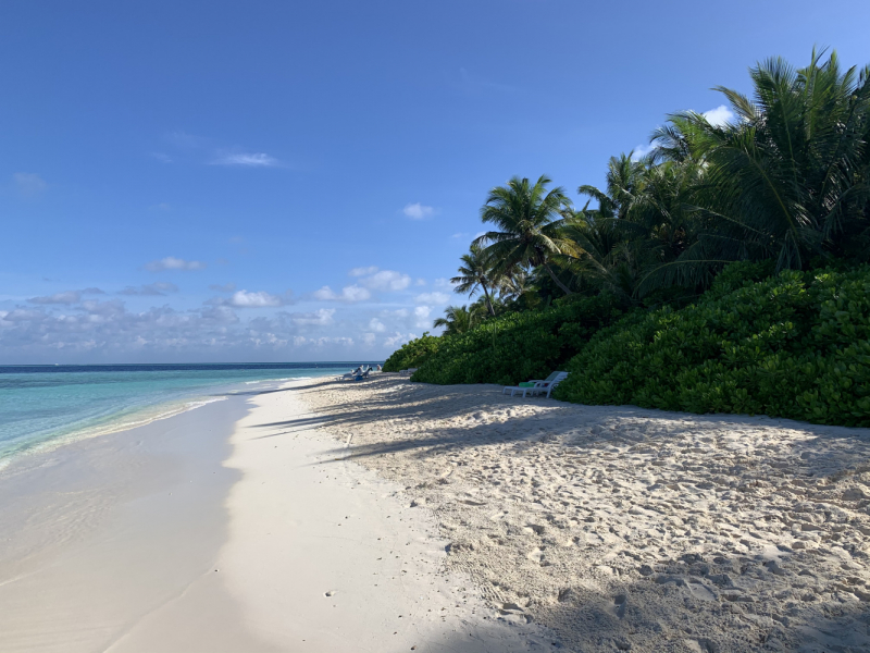 Adaaran Club Rannalhi + Biyadhoo Island Resort Декабрь 2020