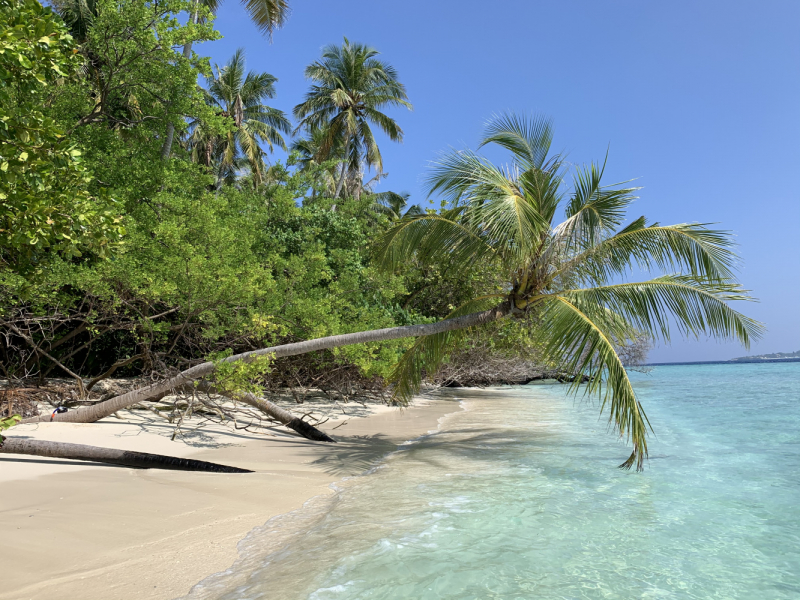 Adaaran Club Rannalhi + Biyadhoo Island Resort Декабрь 2020