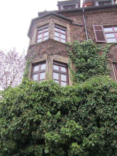 Месяц в Германии. Локдаун. Карантин. Рождество. НГ и прочие мелкие радости жизни.