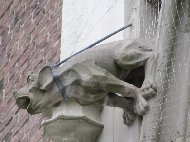 Месяц в Германии. Локдаун. Карантин. Рождество. НГ и прочие мелкие радости жизни.