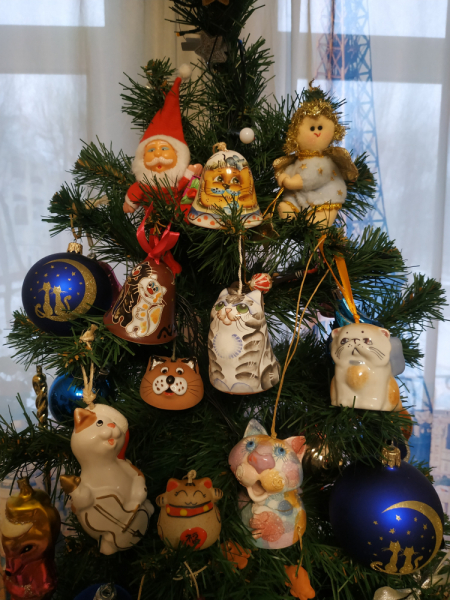 Кошки в нашей жизни. Кошки и все, что с ними связано.