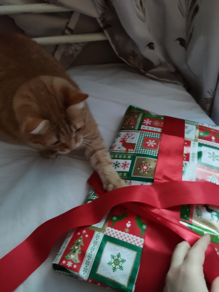 Кошки в нашей жизни. Кошки и все, что с ними связано.